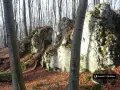 Jurajskie skały porośnięte mchem w lesie, pokrytym opadłymi liśćmi.