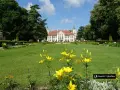Pałac w Kozłówce otoczony ogrodem z kwitnącymi liliami. Wspaniałe kozłówka atrakcje dla każdego.