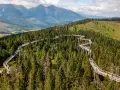 Ścieżka w koronach drzew na Słowacji, wspaniałe słowacja atrakcje blisko Zakopanego, z widokiem na Tatry.