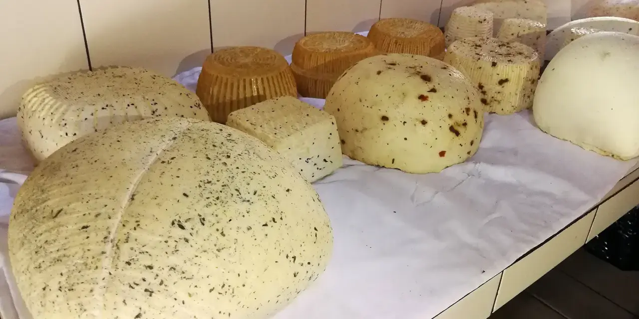 Różne rodzaje serów owczych, niektóre z ziołami, inne z papryczką, prezentowane na białym obrusie.