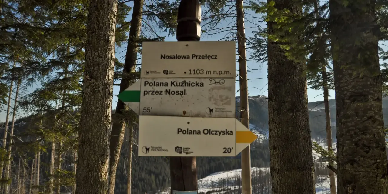 Znak szlaku na Nosalowej Przełęczy, 1103 m n.p.m. Kierunki: Polana Kuźnicka (55 min) i Polana Olczyska (20 min).