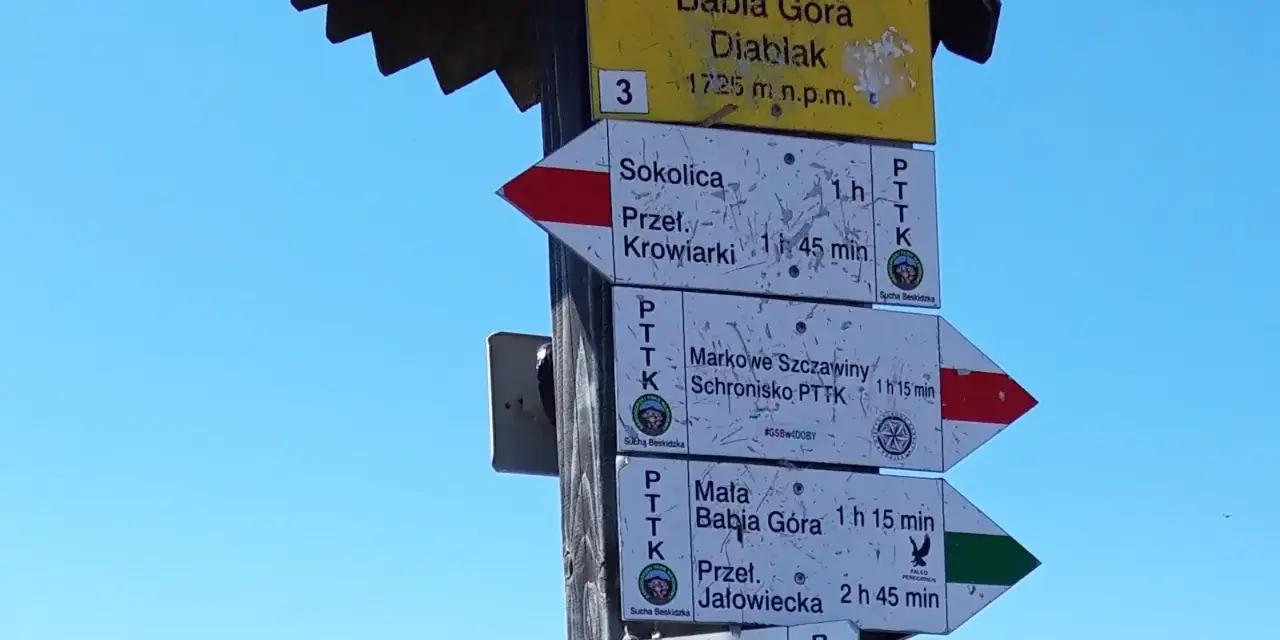 Rozdroże szlaków turystycznych na Babiej Górze. Widać drogowskazy na Przeł. Krowiarki, Markowe Szczawiny i Małą Babią Górę.