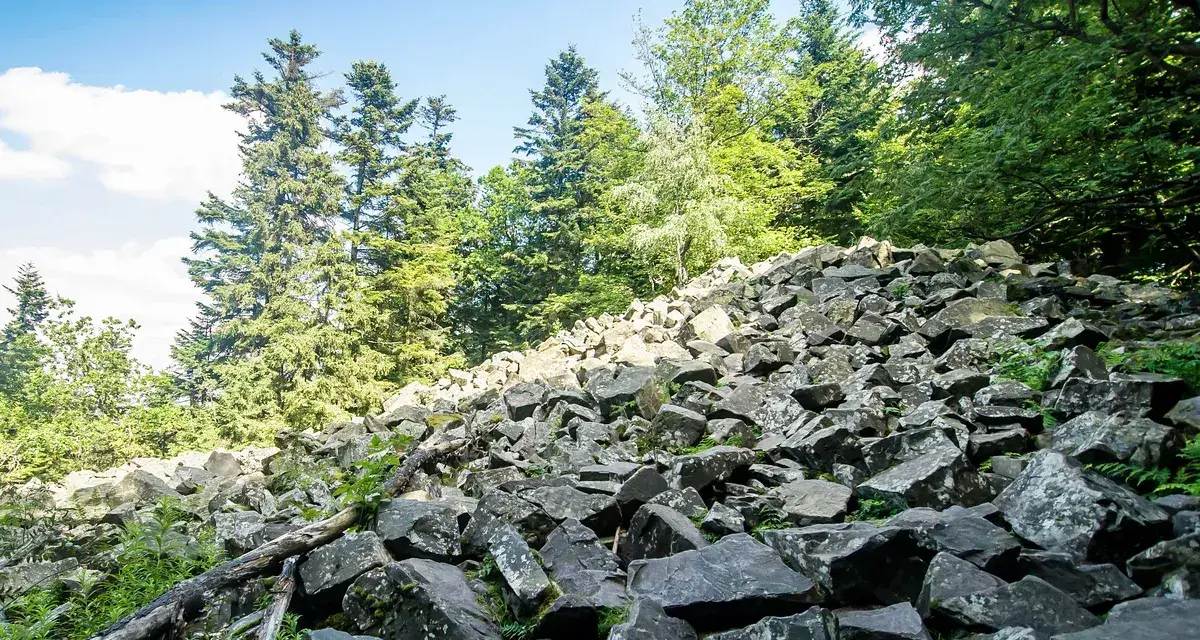 Kamieniste zbocze porośnięte drzewami i zielenią, z widocznym niebem w tle.