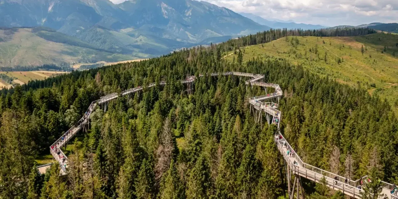 Ścieżka w koronach drzew na Słowacji, wspaniałe słowacja atrakcje blisko Zakopanego, z widokiem na Tatry.
