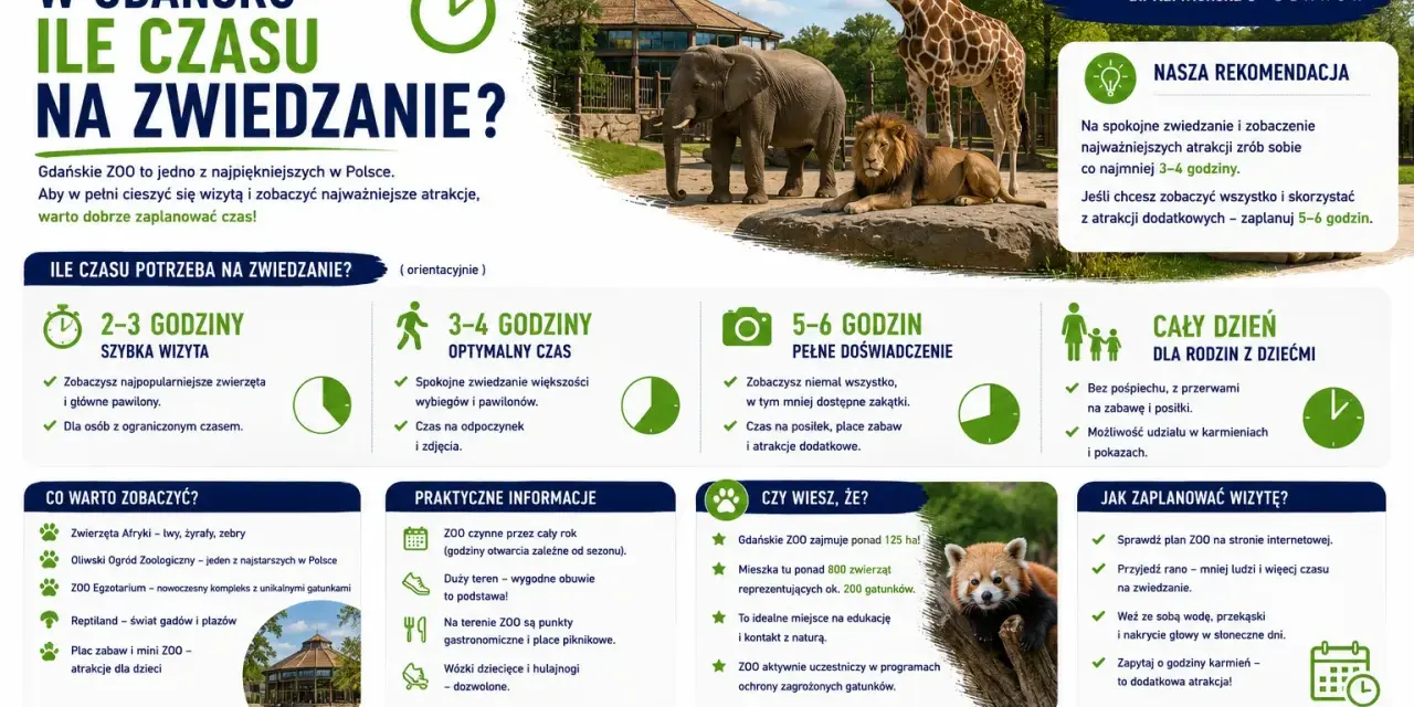 Ile czasu na zwiedzanie zoo w Gdańsku? Na szybką wizytę 2-3h, optymalnie 3-4h, a pełne doświadczenie 5-6h.