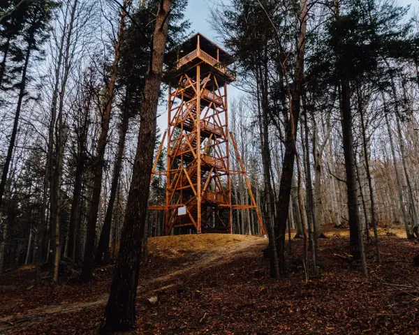 Drewniana wieża widokowa Ferdel wznosi się pośród jesiennego lasu, zapraszając do podziwiania panoramy.