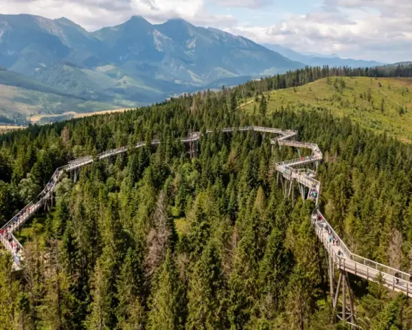 Ścieżka w koronach drzew na Słowacji, wspaniałe słowacja atrakcje blisko Zakopanego, z widokiem na Tatry.