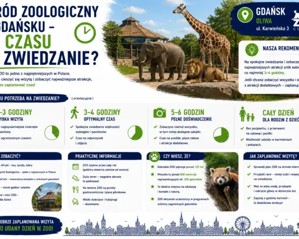 Ile czasu na zwiedzanie zoo w Gdańsku? Na szybką wizytę 2-3h, optymalnie 3-4h, a pełne doświadczenie 5-6h.