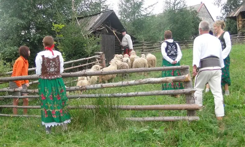 Bacówka Marcówka - wyjątkowe doświadczenie agroturystyczne w górach