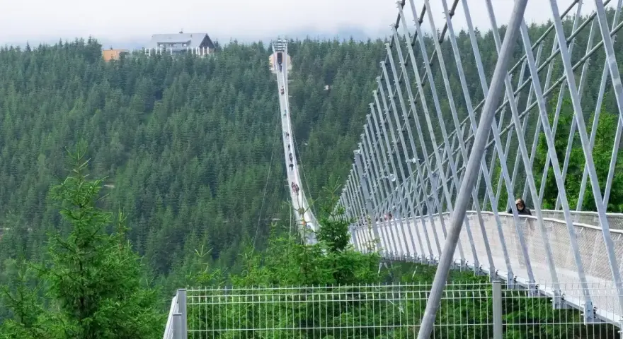 Spacerem po najdłuższym moście wiszącym w Polsce, otoczonym gęstym lasem świerkowym. Widok zapiera dech w piersiach!
