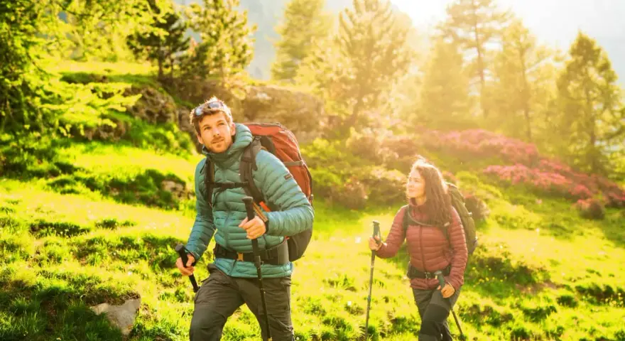 Karpaty – jaki to typ gór i co je wyróżnia w Europie?