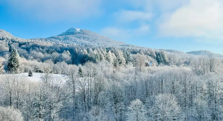 Bieszczady zimą. Ośnieżone drzewa i góry pod błękitnym niebem. W oddali widać mały domek.