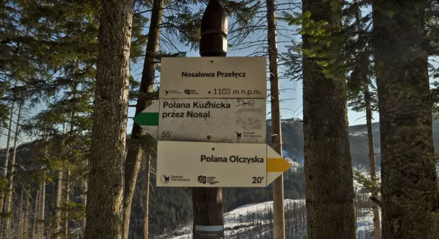 Znak szlaku na Nosalowej Przełęczy, 1103 m n.p.m. Kierunki: Polana Kuźnicka (55 min) i Polana Olczyska (20 min).