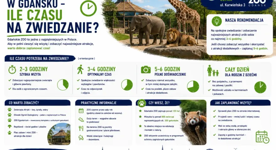 Ile czasu na zwiedzanie zoo w Gdańsku? Na szybką wizytę 2-3h, optymalnie 3-4h, a pełne doświadczenie 5-6h.