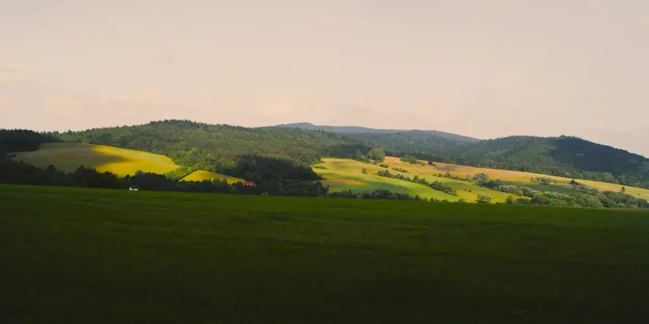 Zielone pola i lasy na zboczach Magury Małastowskiej. W oddali widać czerwony dach domu.