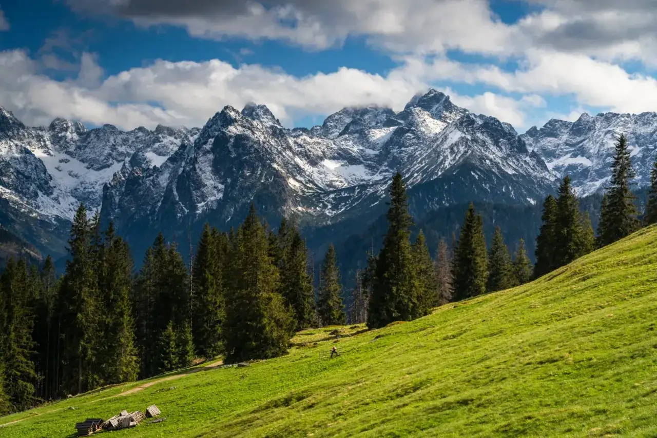 Tatry ośnieżone, zielona hala i las. Ciekawe zakopane widoki, które zachwycają o każdej porze roku.