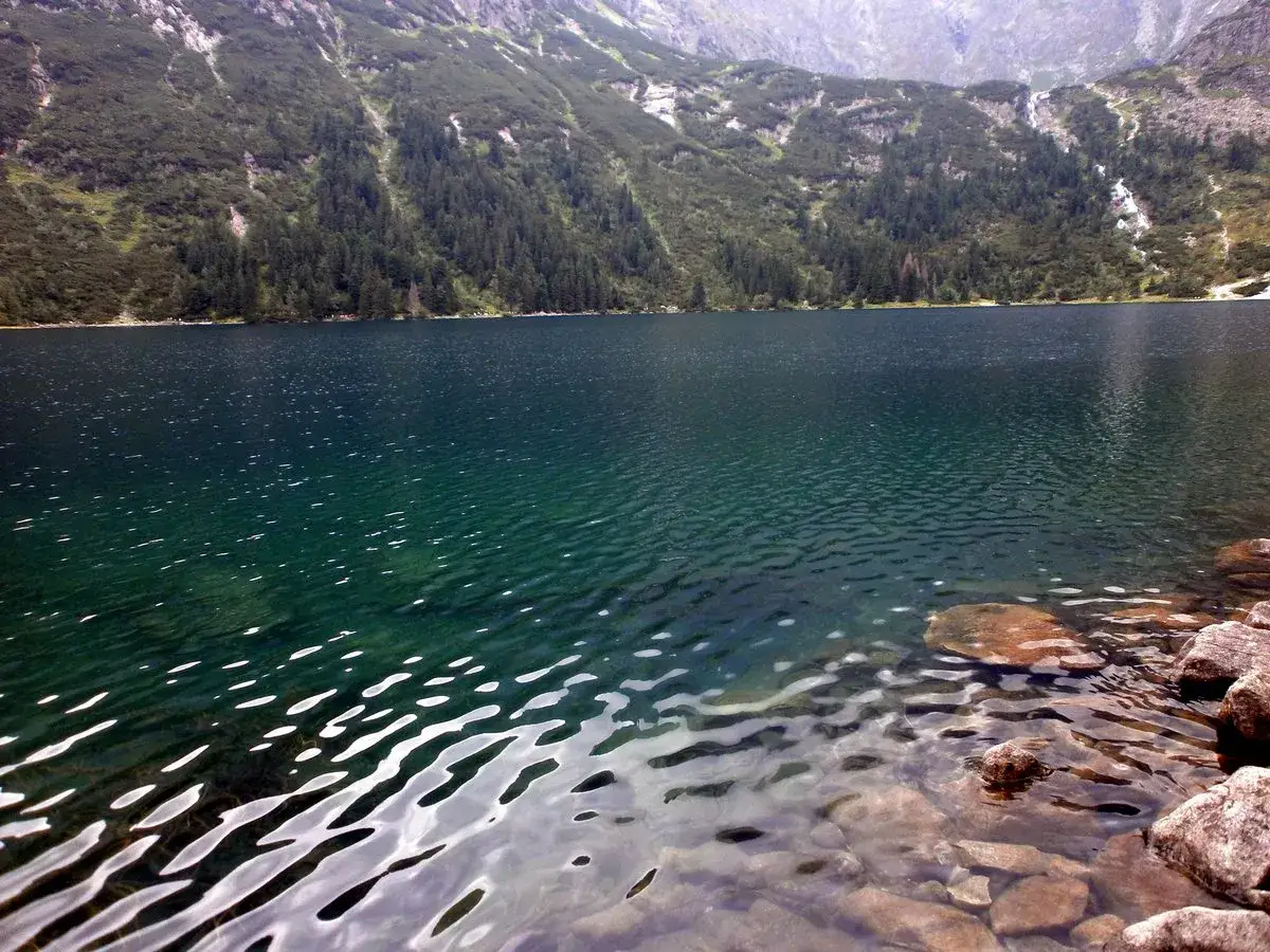 Największe jezioro w Tatrach, Morskie Oko, otoczone zielonymi zboczami gór i lasem. Woda jest ciemnozielona, a na brzegu widać kamienie.