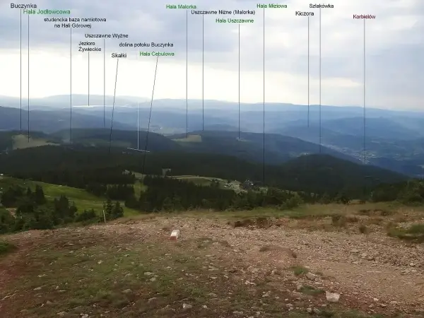 Widok na Beskid Żywiecki z licznymi szczytami: Buczynka, Hala Jodłowcowa, Jezioro Żywieckie, Kiczora.