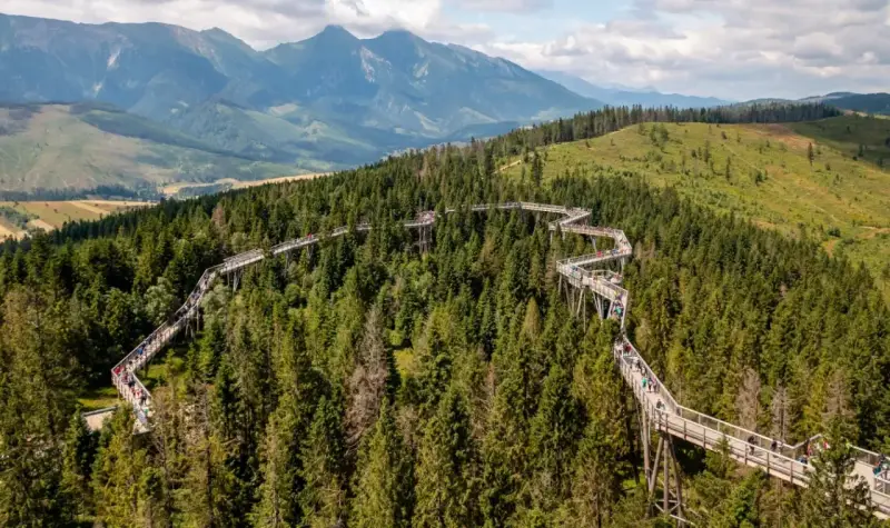 Ścieżka w koronach drzew na Słowacji, wspaniałe słowacja atrakcje blisko Zakopanego, z widokiem na Tatry.